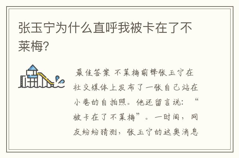 张玉宁为什么直呼我被卡在了不莱梅?