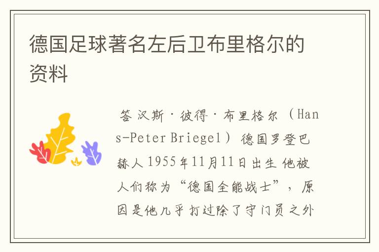 德国足球著名左后卫布里格尔的资料