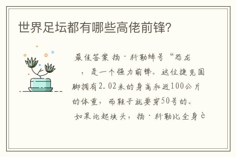 世界足坛都有哪些高佬前锋?