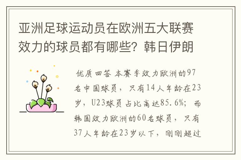亚洲足球运动员在欧洲五大联赛效力的球员都有哪些?韩日伊朗 都是比较多吧!