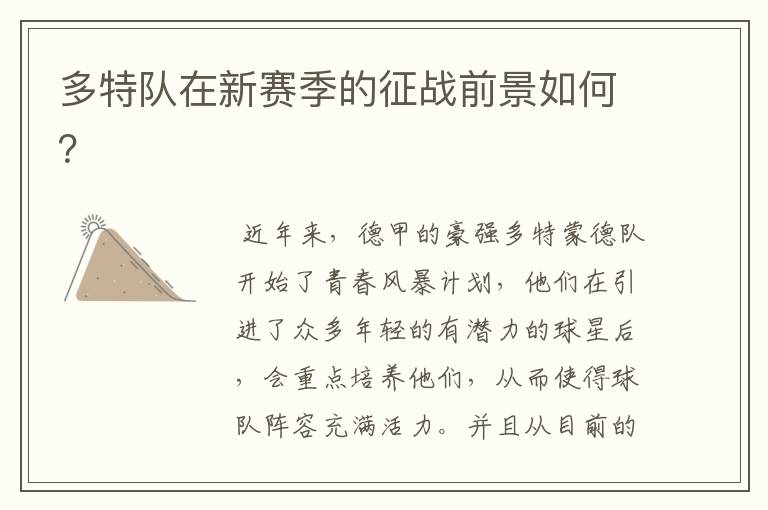 多特队在新赛季的征战前景如何?