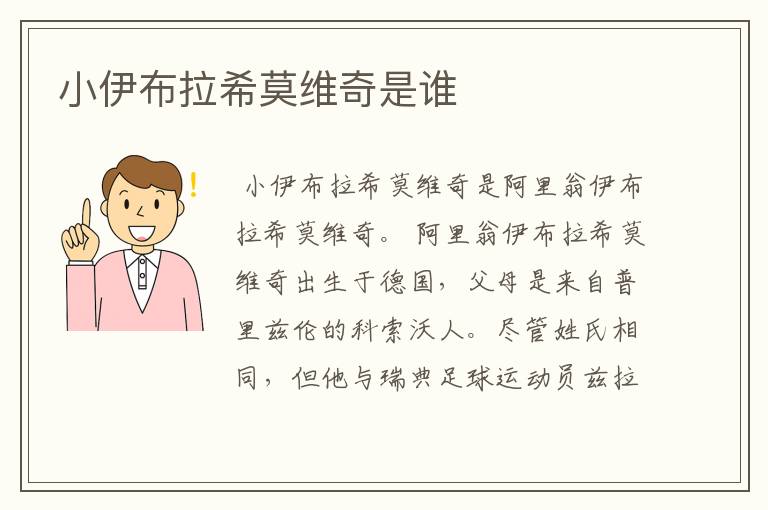 小伊布拉希莫维奇是谁