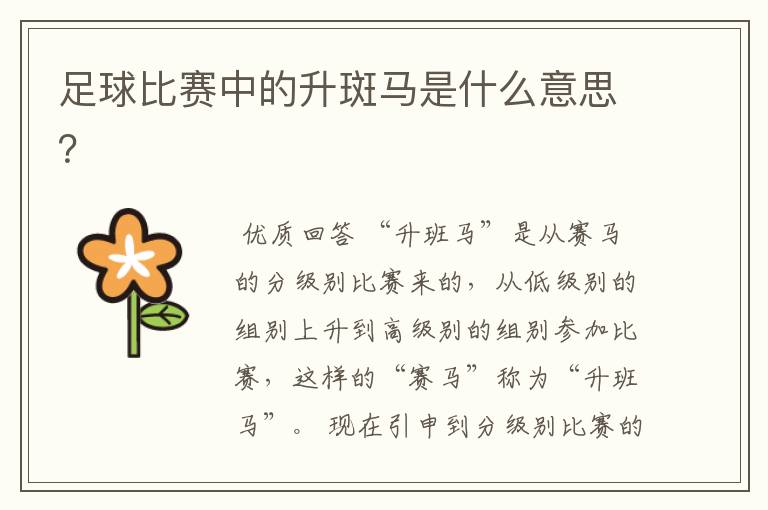 足球比赛中的升斑马是什么意思?