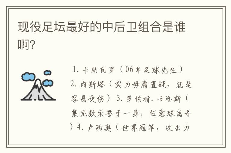 现役足坛最好的中后卫组合是谁啊?