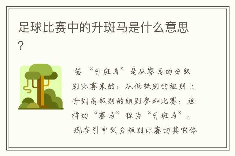 足球比赛中的升斑马是什么意思?