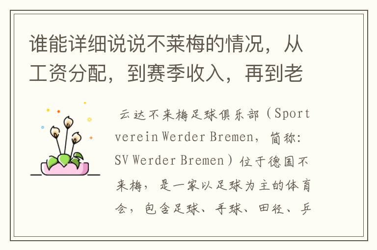 谁能详细说说不莱梅的情况,从工资分配,到赛季收入,再到老板情况以及球队历史。