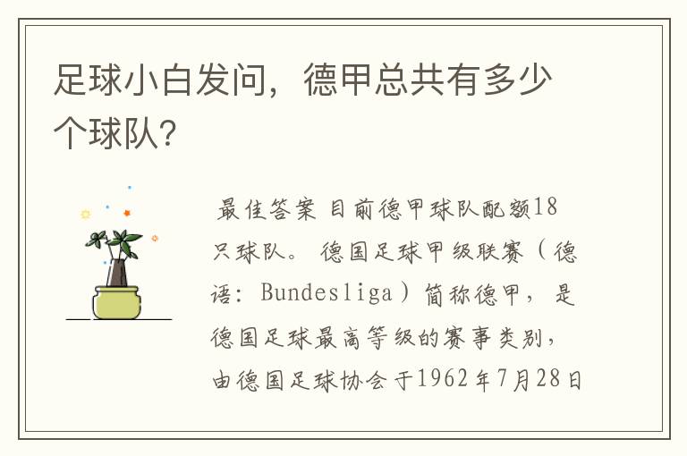 足球小白发问,德甲总共有多少个球队?