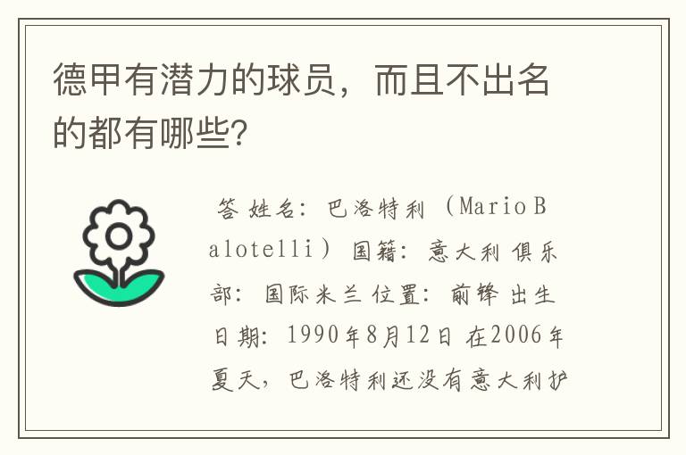 德甲有潜力的球员,而且不出名的都有哪些?