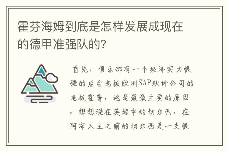 霍芬海姆到底是怎样发展成现在的德甲准强队的?