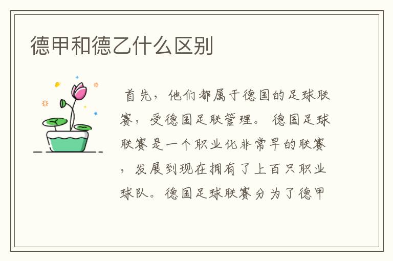 德甲和德乙什么区别