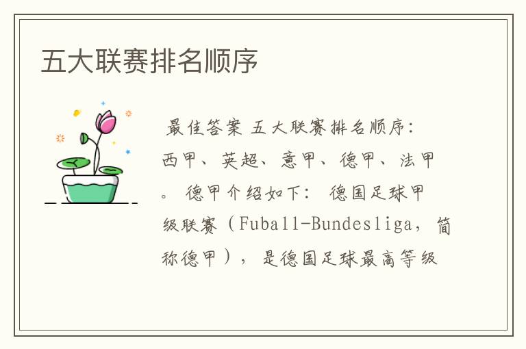 五大联赛排名顺序