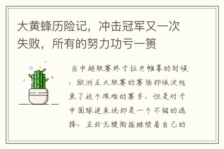 大黄蜂历险记,冲击冠军又一次失败,所有的努力功亏一篑