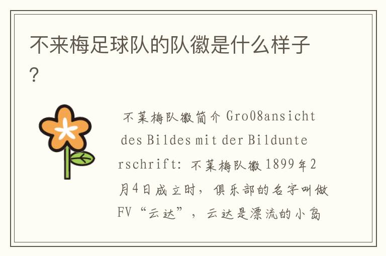 不来梅足球队的队徽是什么样子?