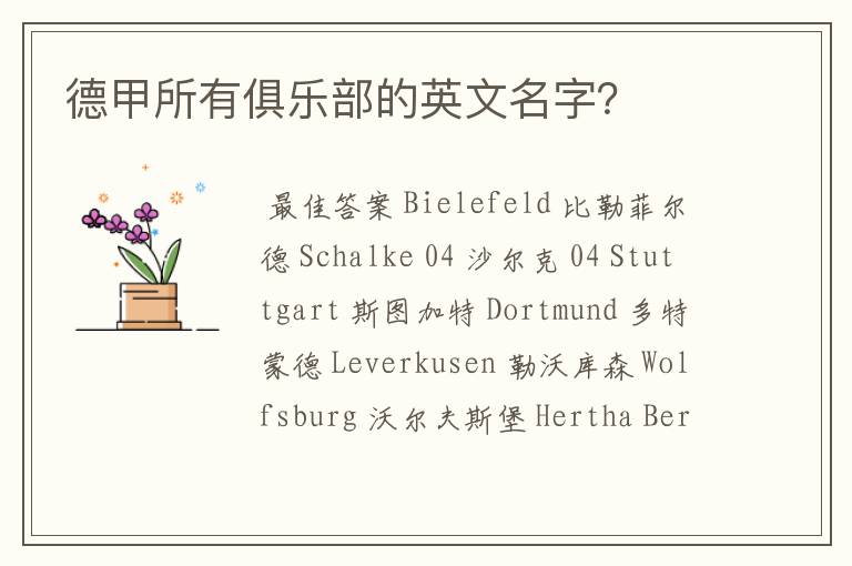 德甲所有俱乐部的英文名字?