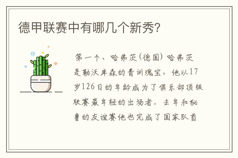 德甲联赛中有哪几个新秀?