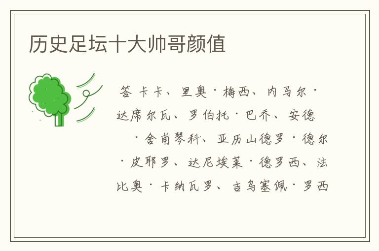 历史足坛十大帅哥颜值