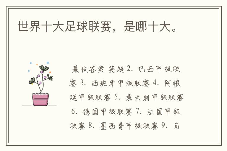 世界十大足球联赛,是哪十大。