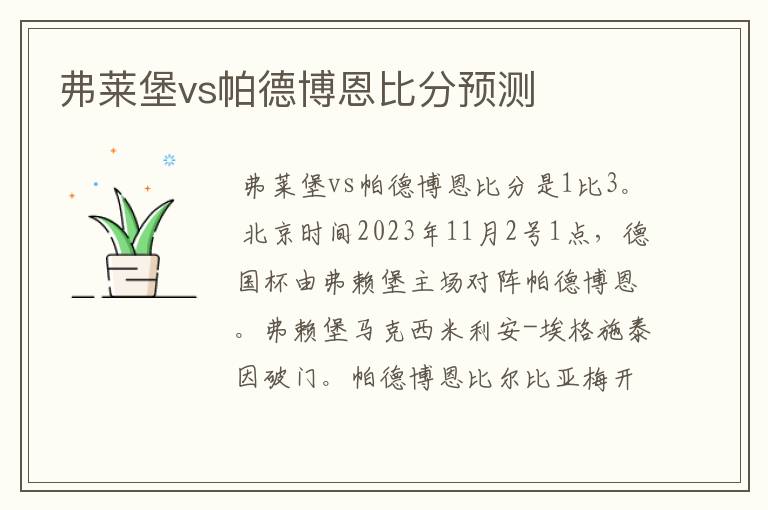 弗莱堡vs帕德博恩比分预测