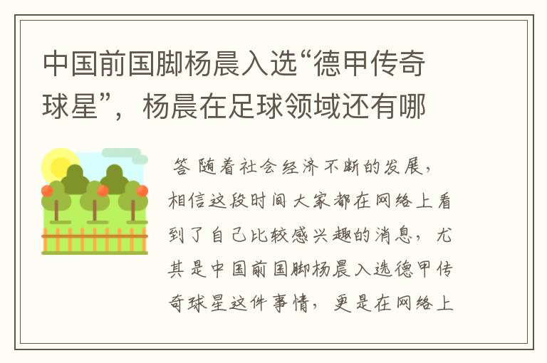 中国前国脚杨晨入选“德甲传奇球星”,杨晨在足球领域还有哪些成就?