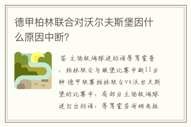 德甲柏林联合对沃尔夫斯堡因什么原因中断?