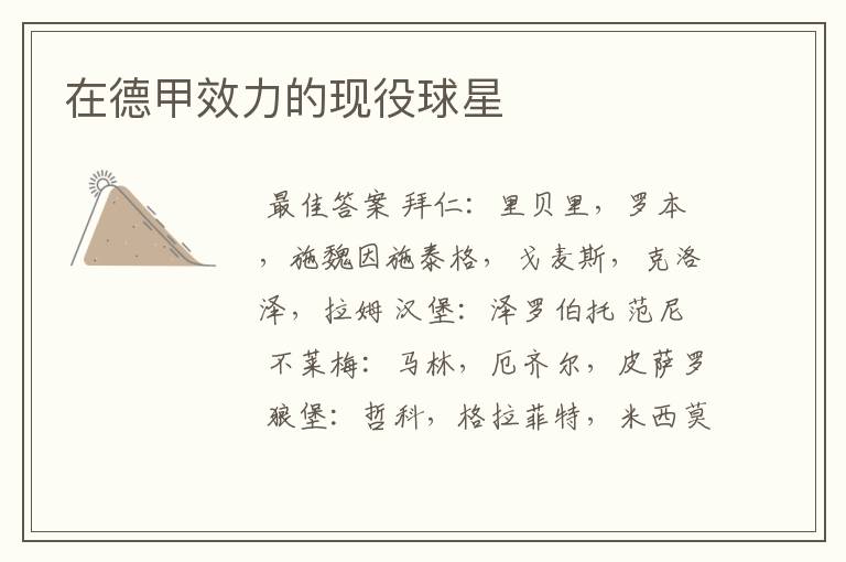 在德甲效力的现役球星