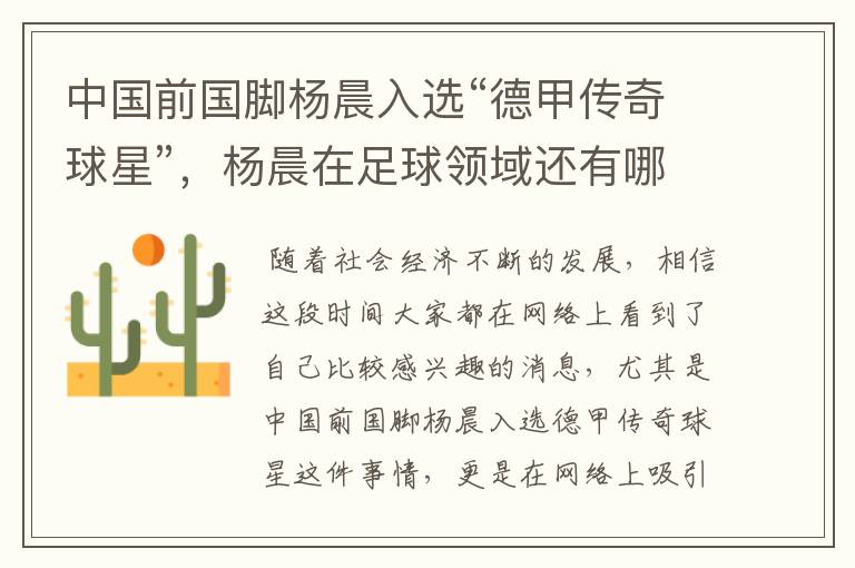 中国前国脚杨晨入选“德甲传奇球星”,杨晨在足球领域还有哪些成就?