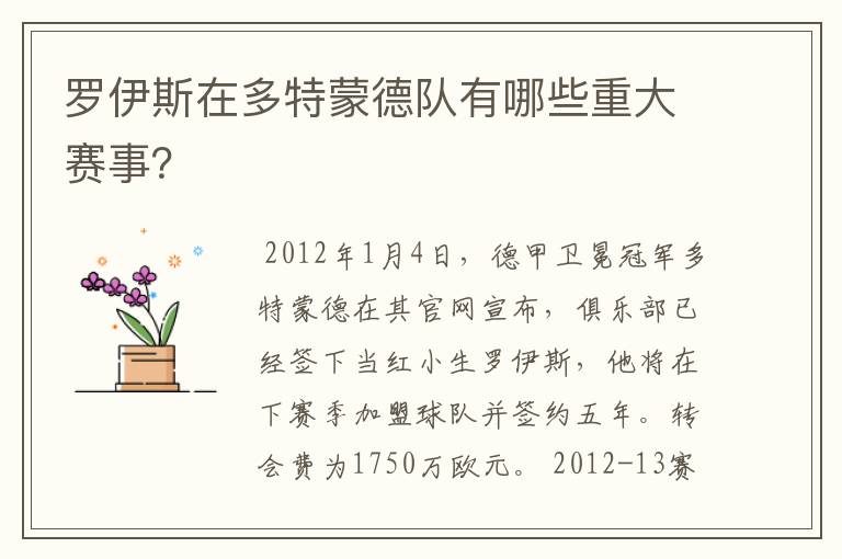 罗伊斯在多特蒙德队有哪些重大赛事?