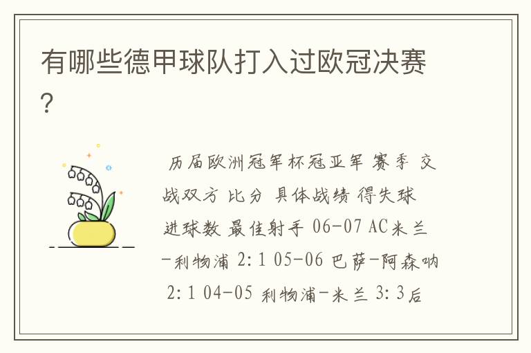 有哪些德甲球队打入过欧冠决赛?
