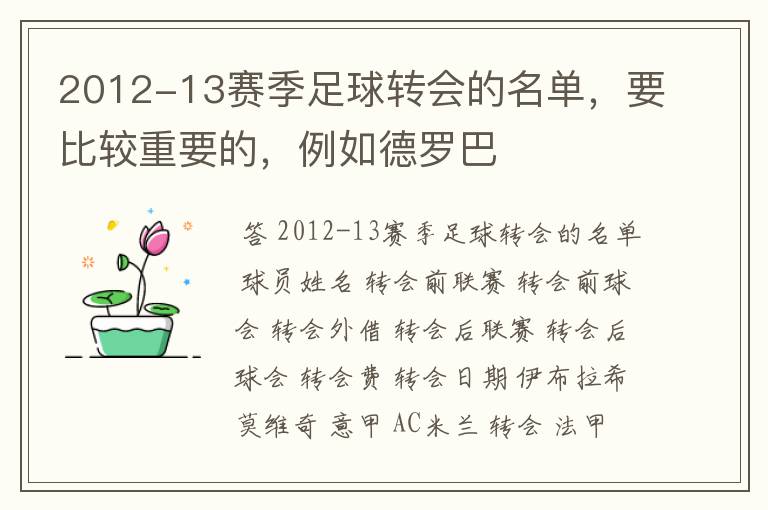 2012-13赛季足球转会的名单,要比较重要的,例如德罗巴