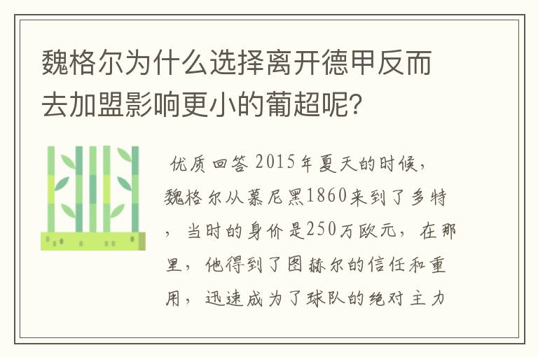 魏格尔为什么选择离开德甲反而去加盟影响更小的葡超呢?