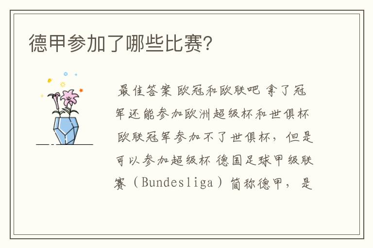德甲参加了哪些比赛?