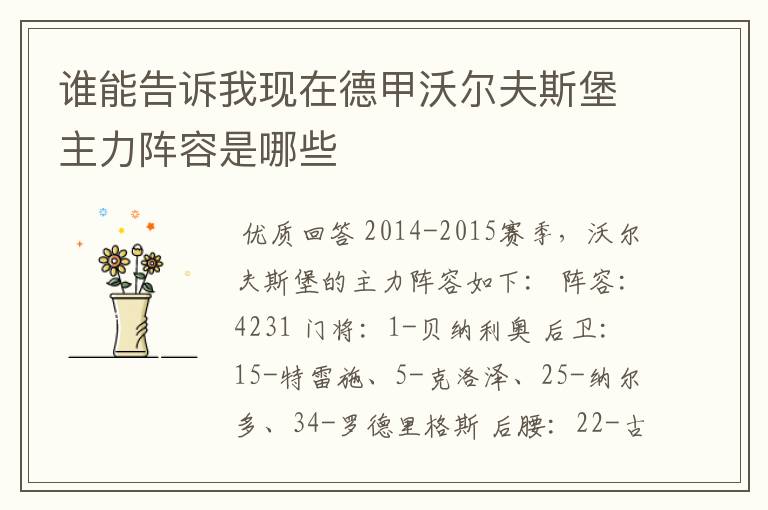谁能告诉我现在德甲沃尔夫斯堡主力阵容是哪些