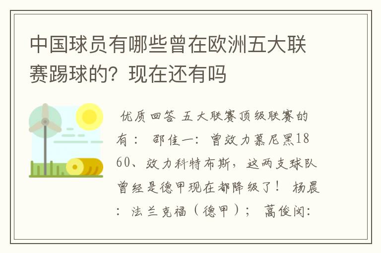 中国球员有哪些曾在欧洲五大联赛踢球的?现在还有吗