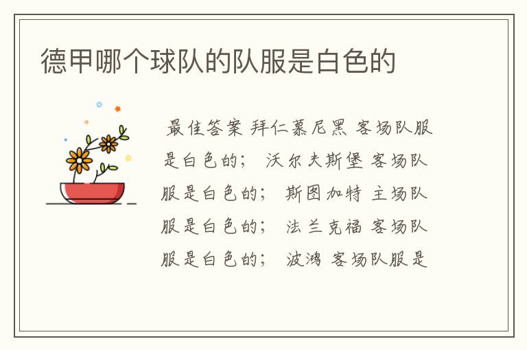德甲哪个球队的队服是白色的
