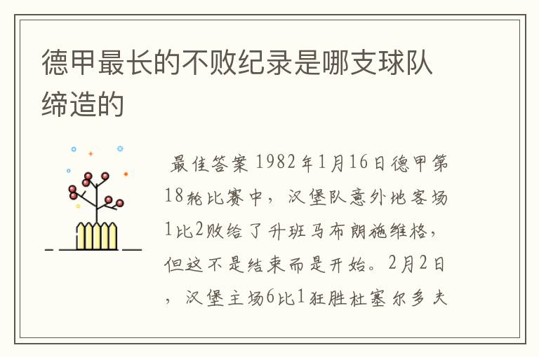 德甲最长的不败纪录是哪支球队缔造的