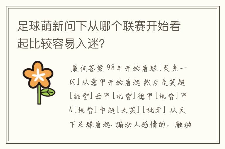 足球萌新问下从哪个联赛开始看起比较容易入迷？