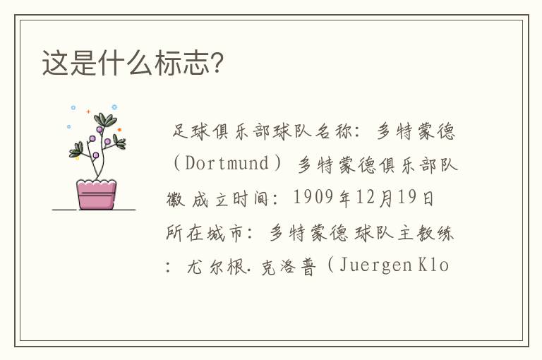 这是什么标志?
