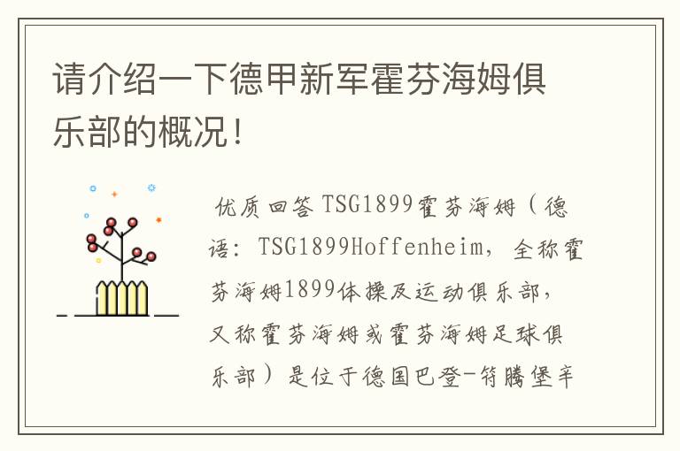 请介绍一下德甲新军霍芬海姆俱乐部的概况!