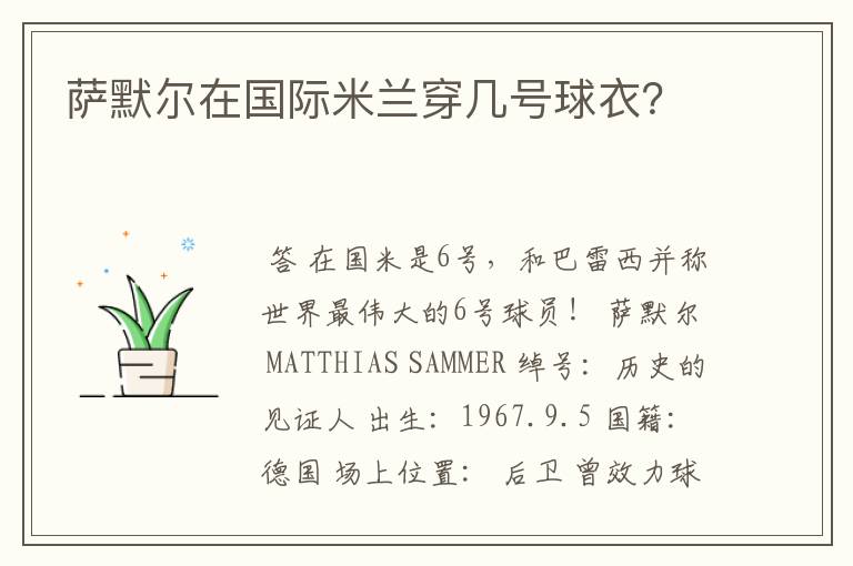 萨默尔在国际米兰穿几号球衣?