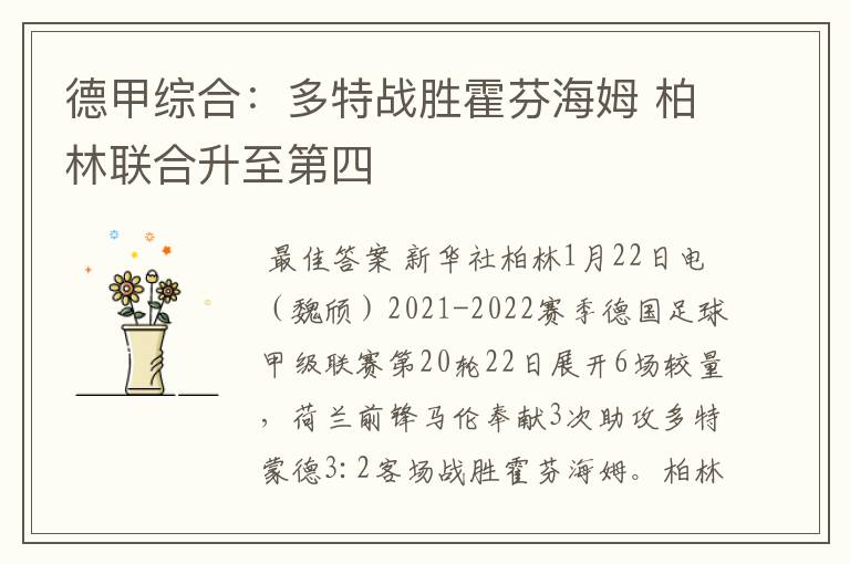 德甲综合:多特战胜霍芬海姆 柏林联合升至第四