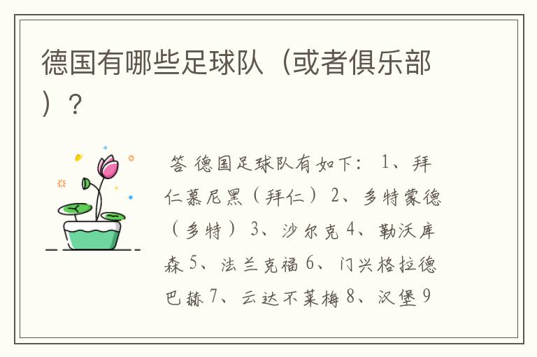 德国有哪些足球队(或者俱乐部)?
