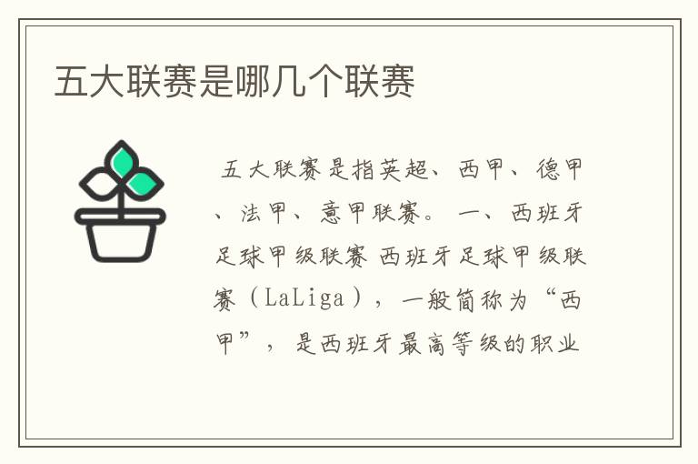 五大联赛是哪几个联赛