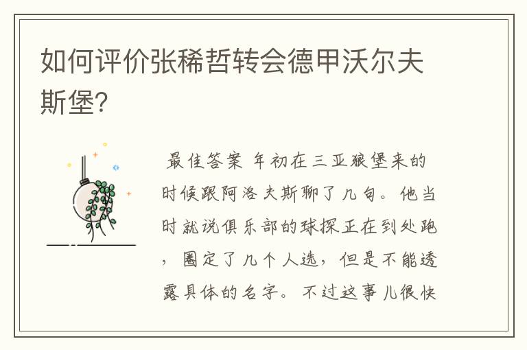 如何评价张稀哲转会德甲沃尔夫斯堡?