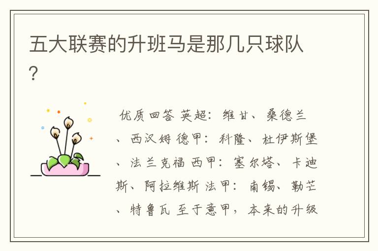 五大联赛的升班马是那几只球队?