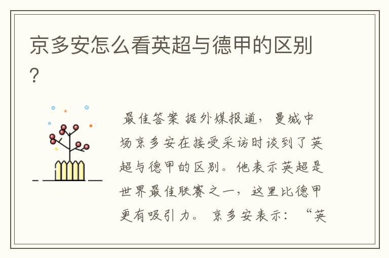 京多安怎么看英超与德甲的区别?