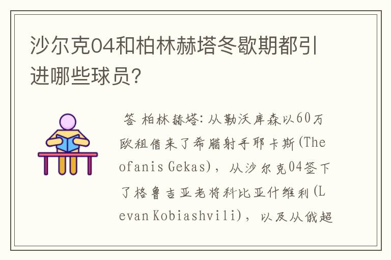 沙尔克04和柏林赫塔冬歇期都引进哪些球员?