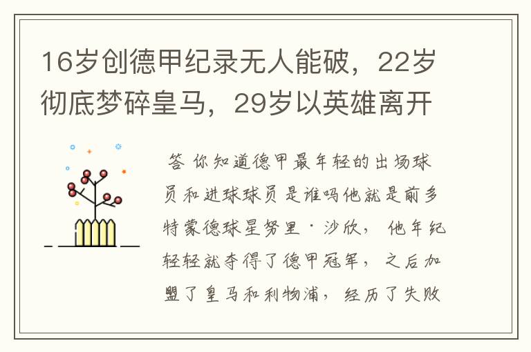 16岁创德甲纪录无人能破,22岁彻底梦碎皇马,29岁以英雄离开多特