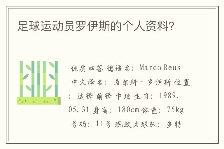 足球运动员罗伊斯的个人资料?
