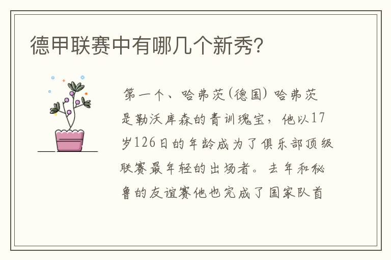 德甲联赛中有哪几个新秀?