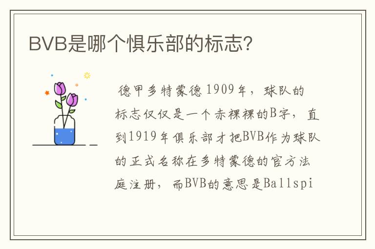 BVB是哪个惧乐部的标志?